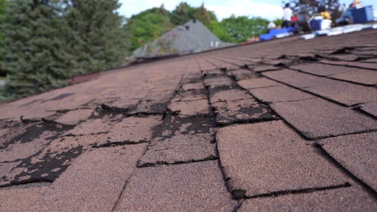 Best 4 Ply Roofing  in Crystal Lakes, OH